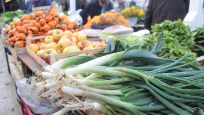 Dubrovnik Green Market