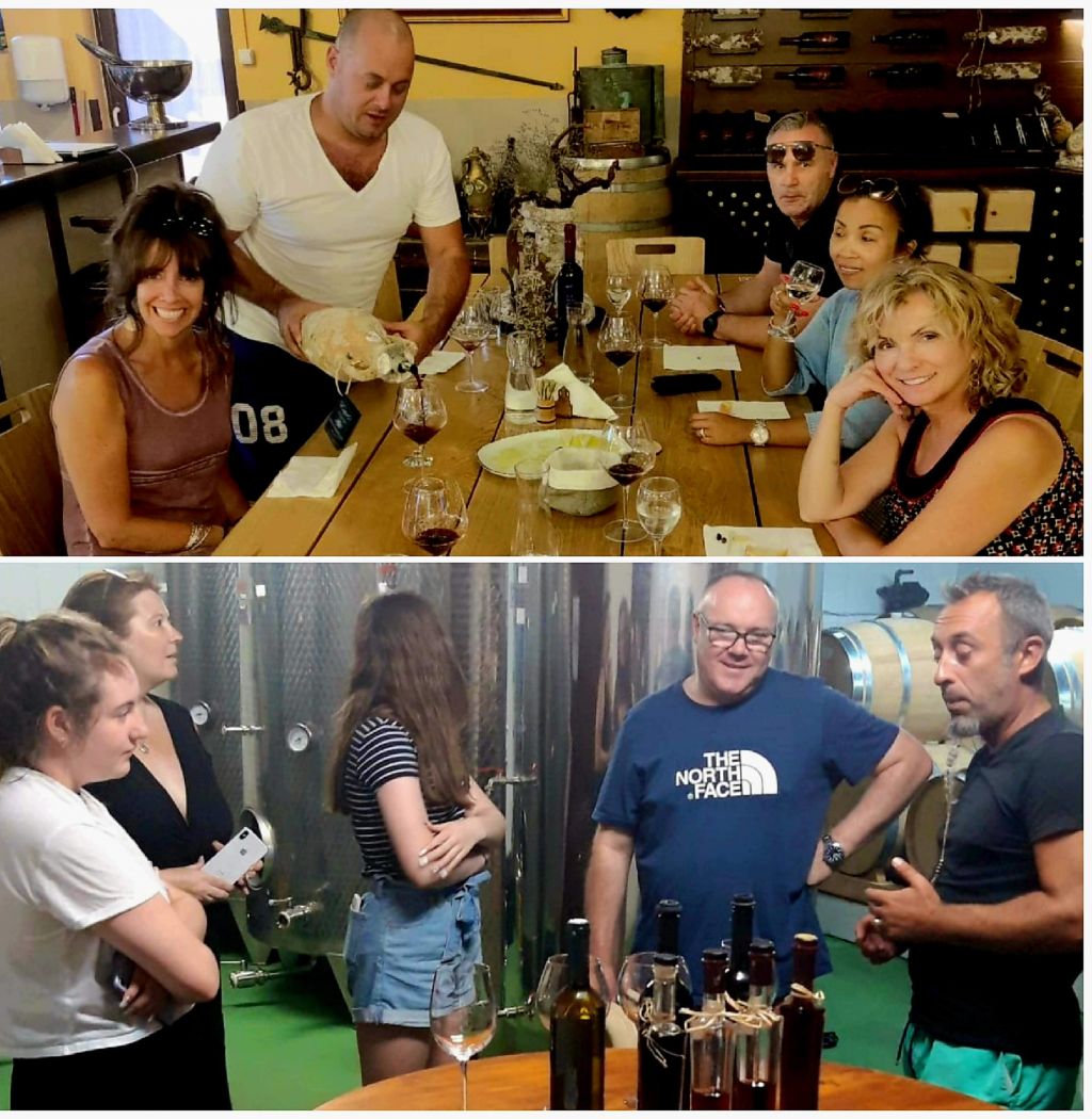 Peljesac Best Wineries